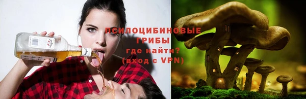 ALPHA PVP Коряжма