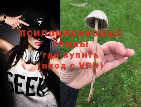 гидра Корсаков