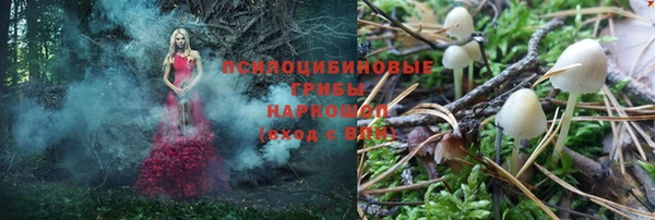 гидра Корсаков