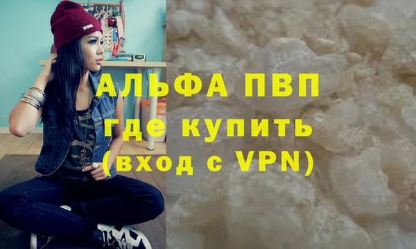 гидра Корсаков